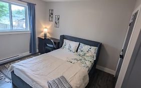 Harmony Haven